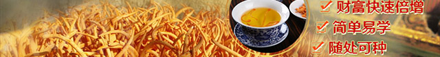 慧农富硒北虫草