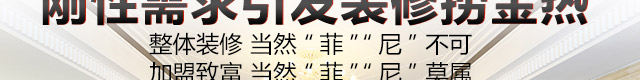 欧菲德尼