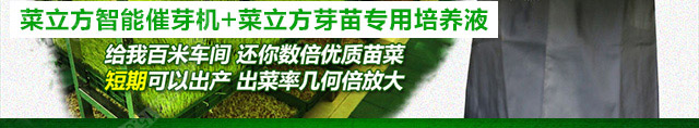 菜立方芽苗菜怎么样