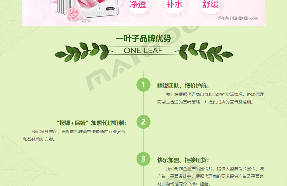 一叶子5.jpg